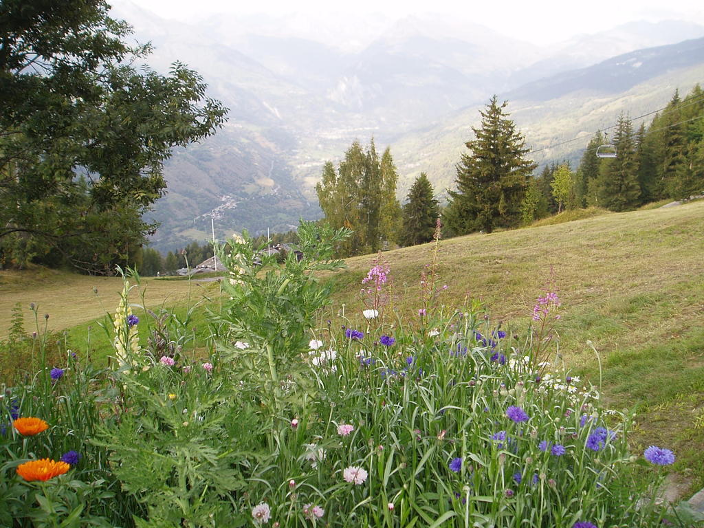 Chalet Les Gentianes La Plagne Pokoj fotografie