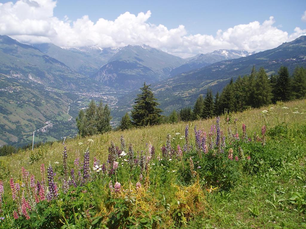 Chalet Les Gentianes La Plagne Exteriér fotografie